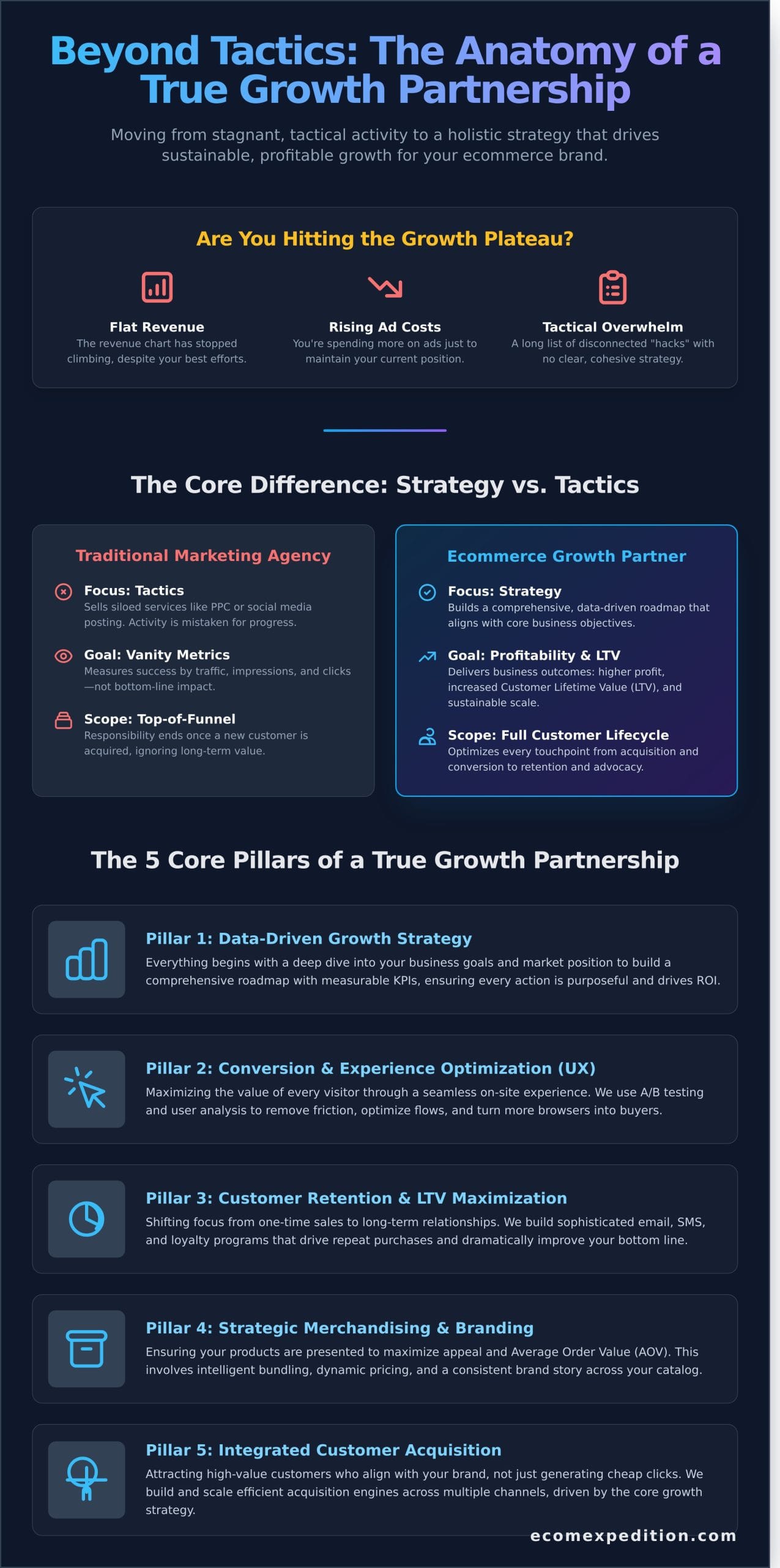 Why Hire an Ecommerce Growth Agency? The Strategic Partner Your Brand is Missing - Infographic